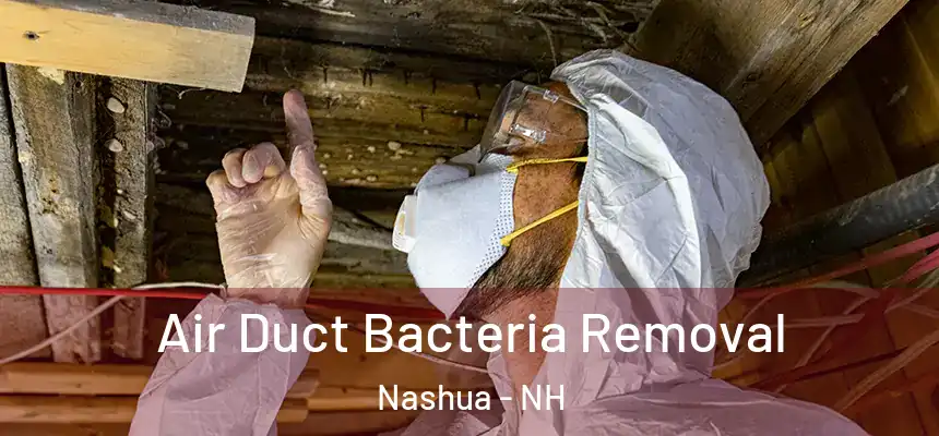 Air Duct Bacteria Removal Nashua - NH