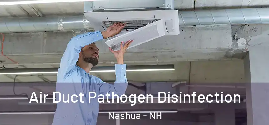 Air Duct Pathogen Disinfection Nashua - NH