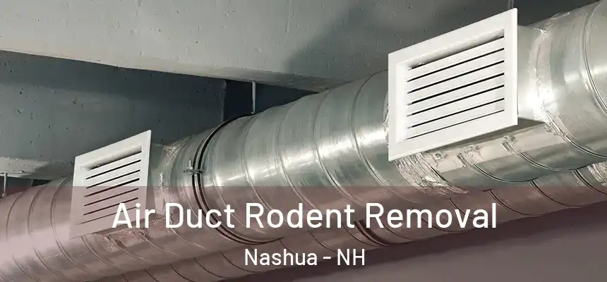 Air Duct Rodent Removal Nashua - NH