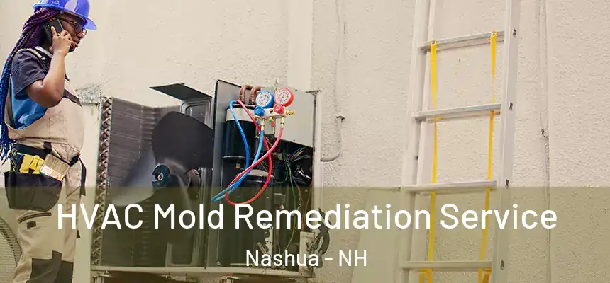 HVAC Mold Remediation Service Nashua - NH