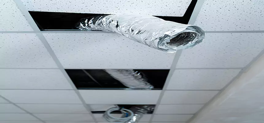 Our Air Duct Pet Hair Removal Services in Nashua, NH