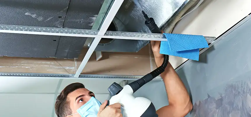 Our Air Duct Rodent Removal Services in Nashua, NH