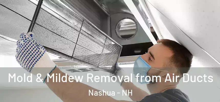 Mold & Mildew Removal from Air Ducts Nashua - NH
