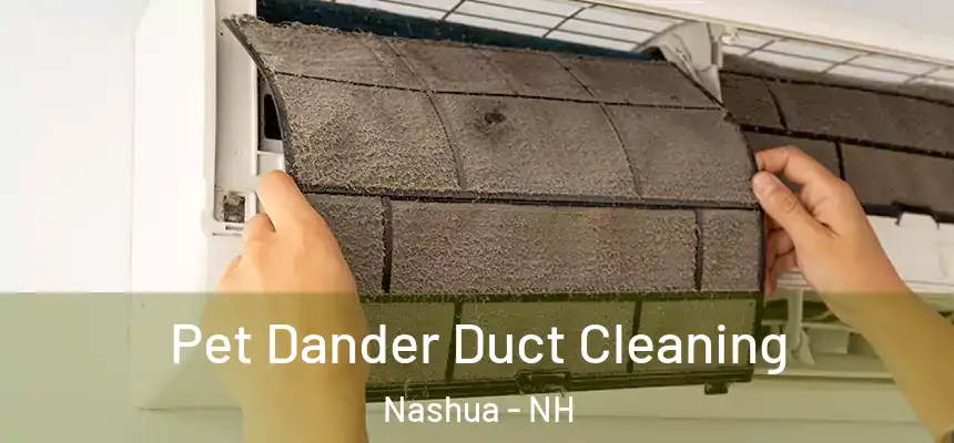  Pet Dander Duct Cleaning Nashua - NH