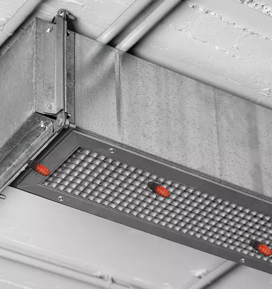 About Air Duct Cockroach Removal in Nashua, NH