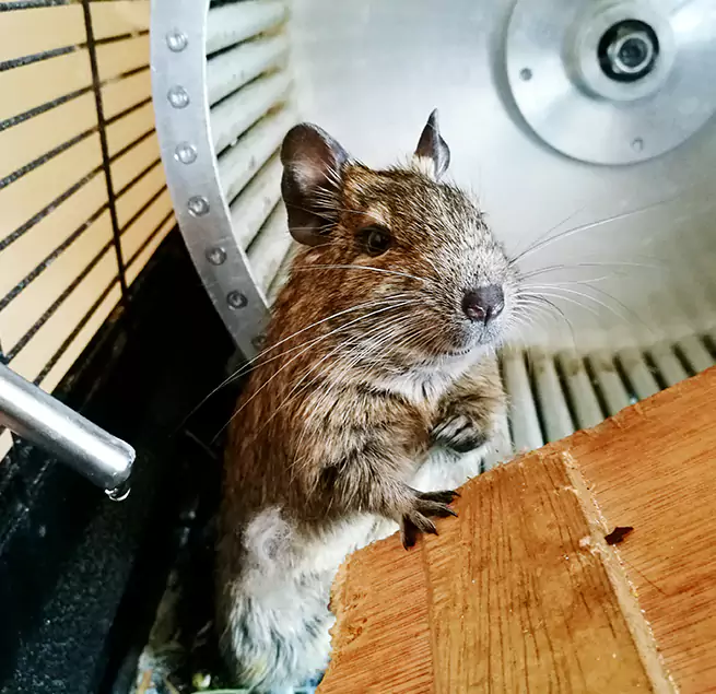 Why Homeowners & Businesses Trust Us Nashua, NH?